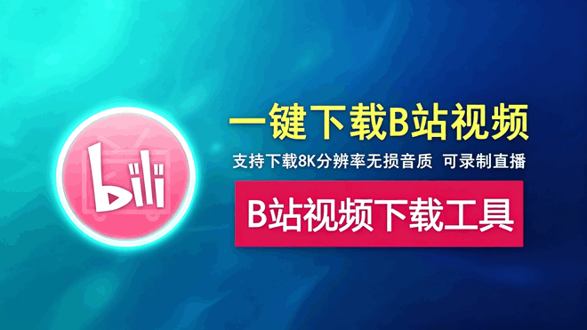 B站视频下载工具支持8K画质无损音质字幕封面 编号：1011
